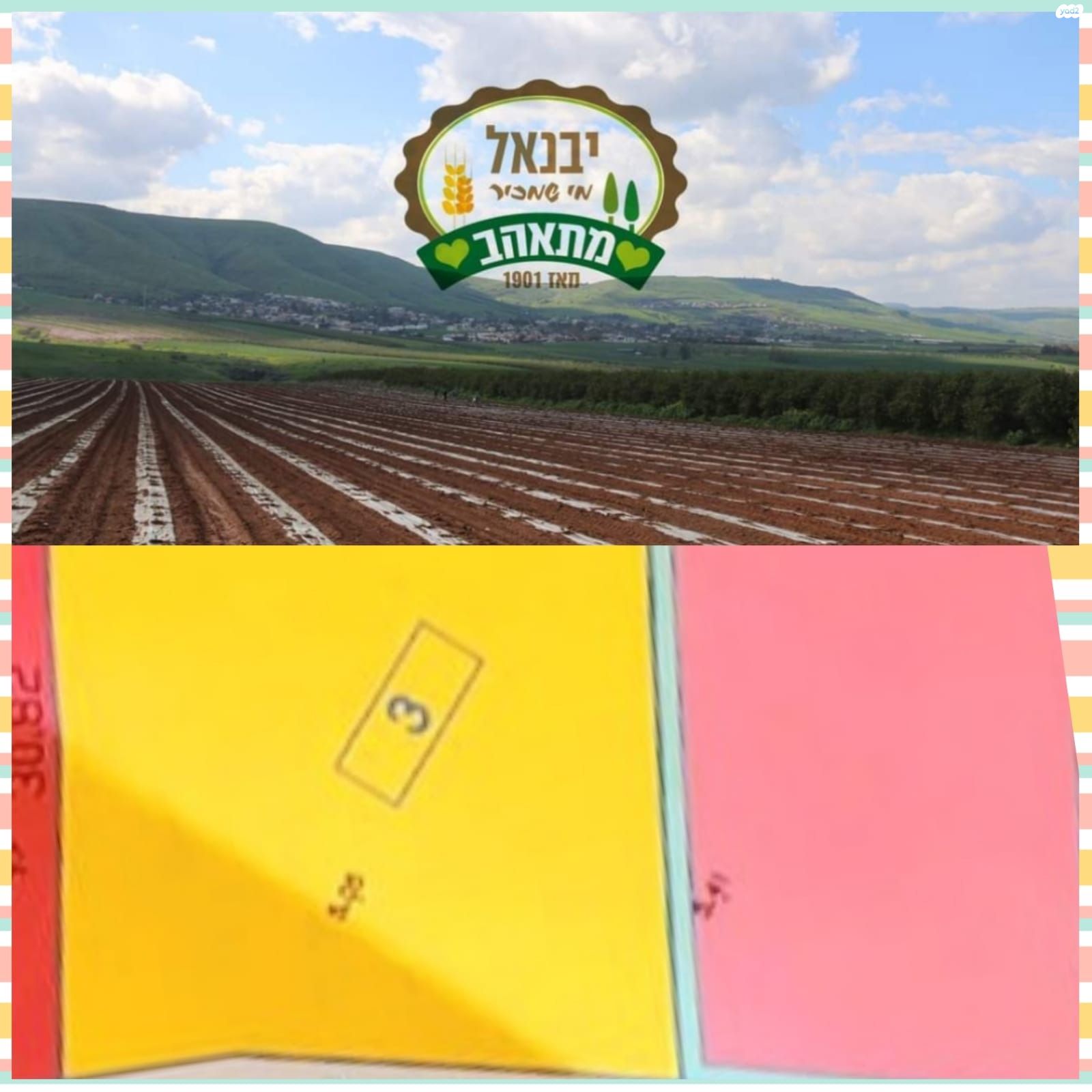 מגרשים