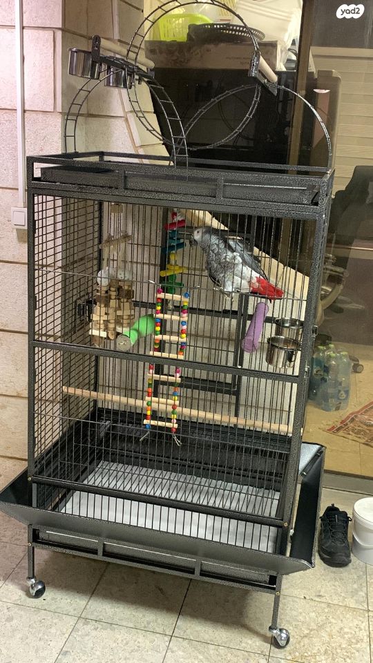 אביזרים | כלוב האכלת יד