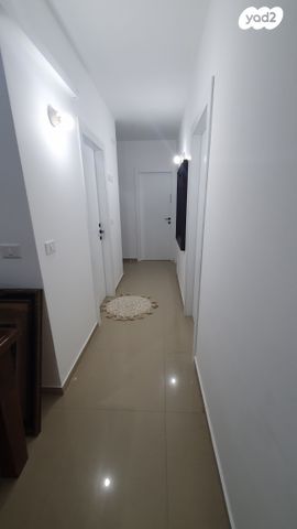 ביכורי ענבים 