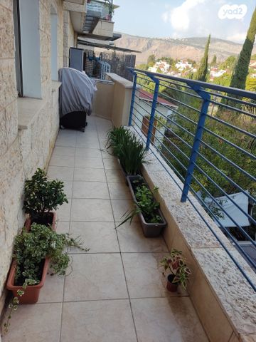 דירה, כרמיאל