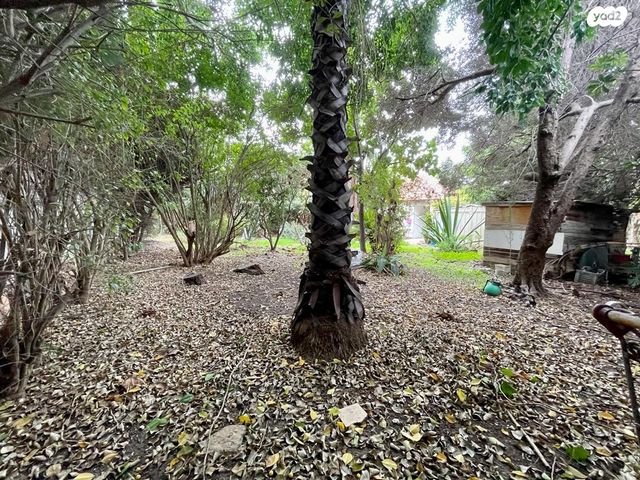 מגרשים, הרצליה