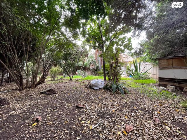 מגרשים, הרצליה