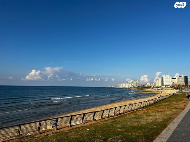 דירה, שמעון בן גמליאל, צפון יפו, המושבה האמריקאית-גרמנית, תל אביב יפו