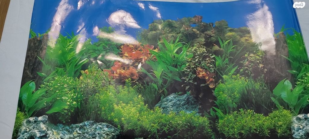 תמונת מודעה - חיות מחמד