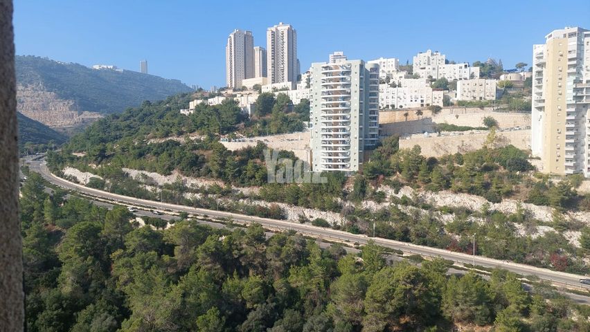 גבעת נשר