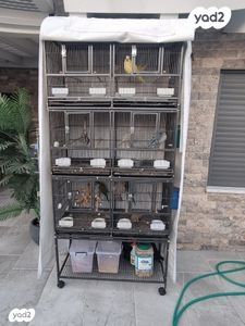 אביזרים | כלוב