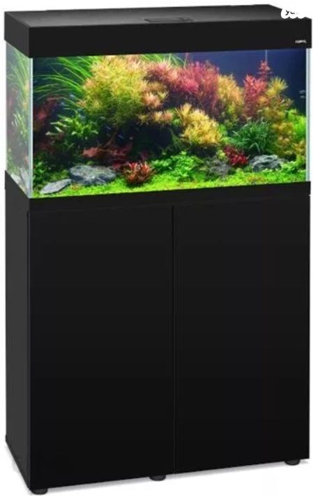 אביזרים | אקווריום