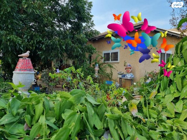 מגרשים, אבן יהודה