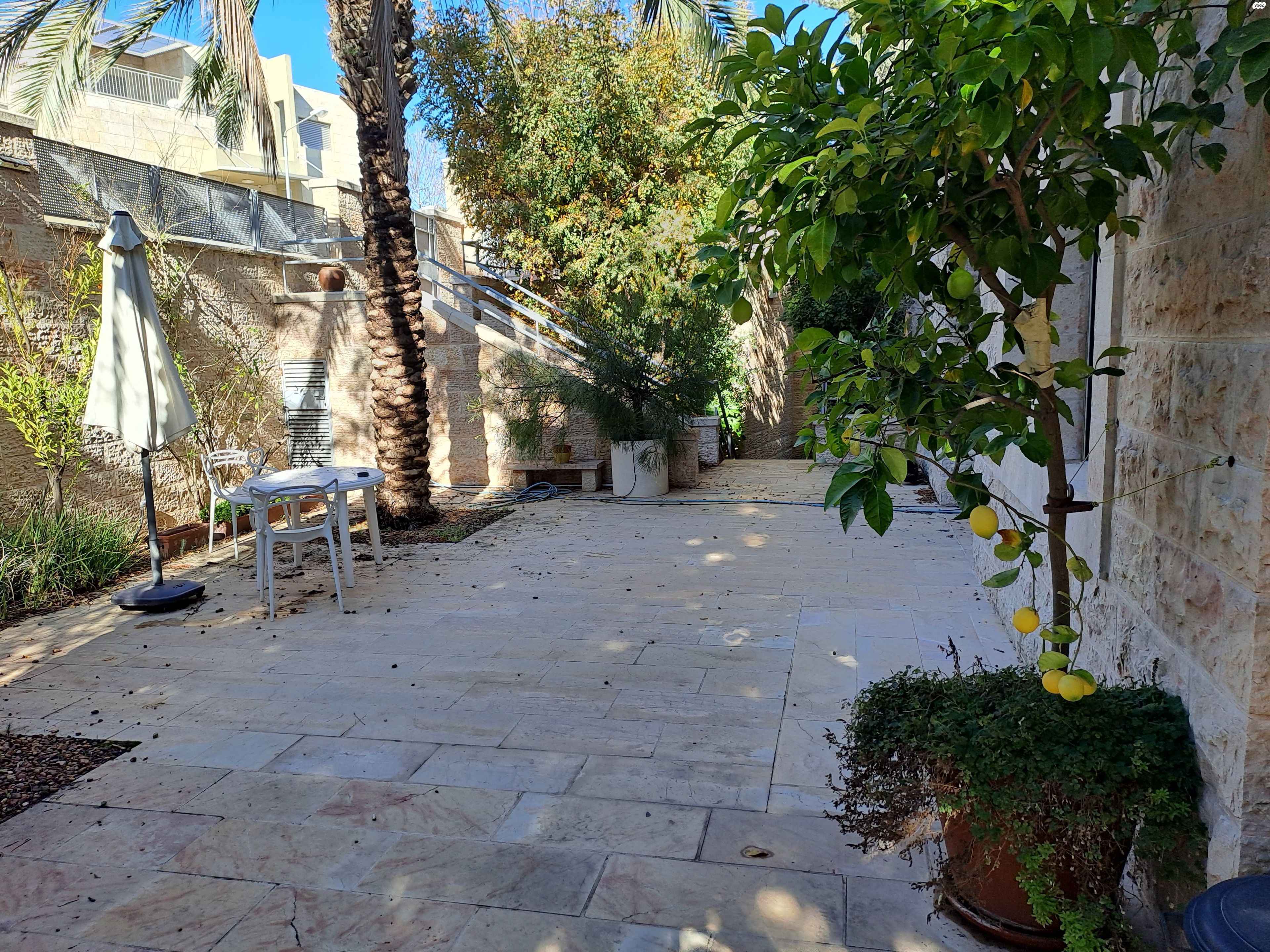דקל 