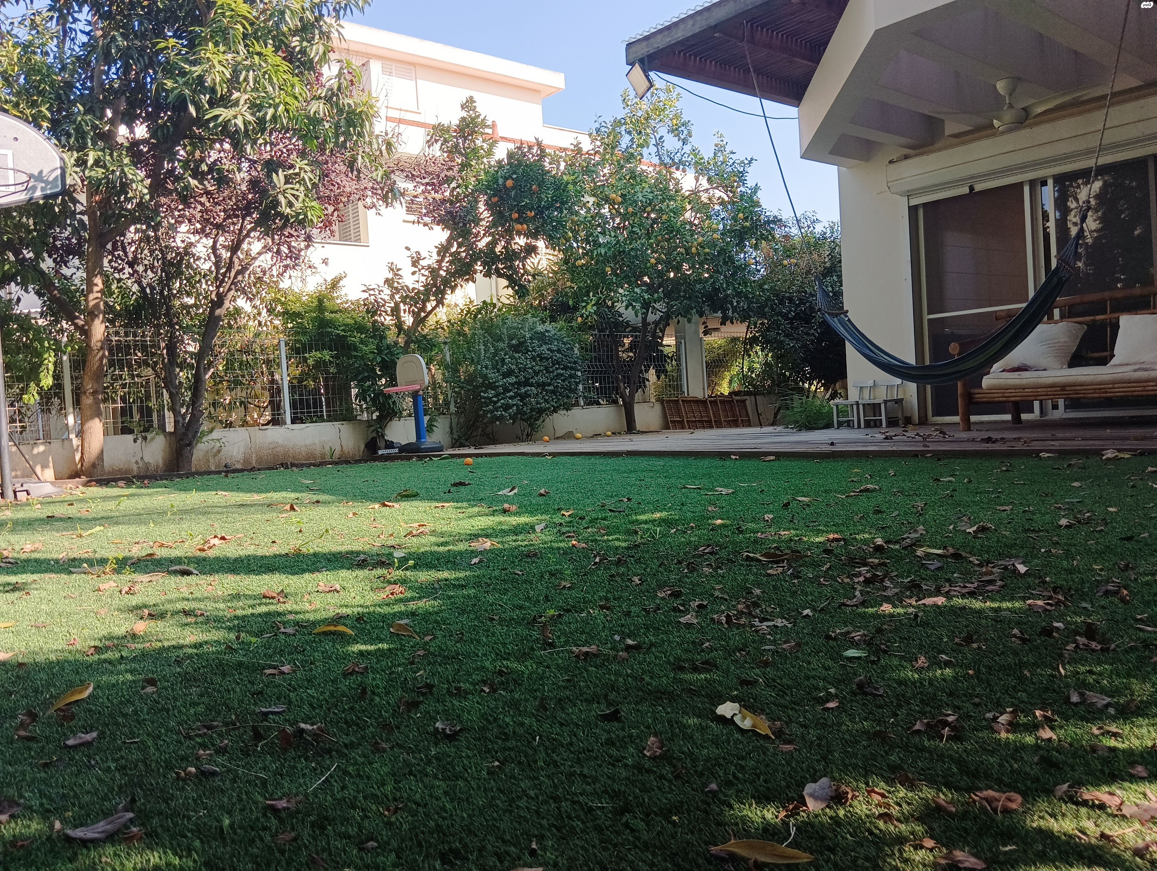 הורדים 