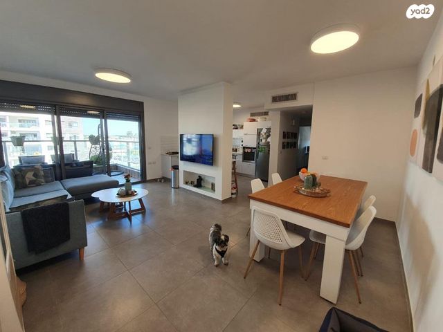 דירה, שרונה, כפר יונה