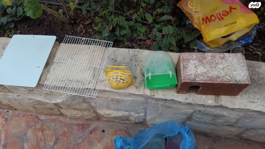 תמונת מודעה - חיות מחמד