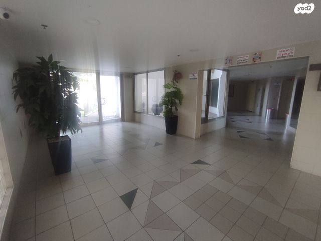 דירה, אשדוד