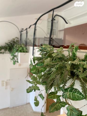 גג/ פנטהאוז, סחלב, חיפה