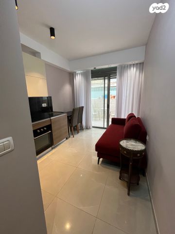 דוד אבישר 11