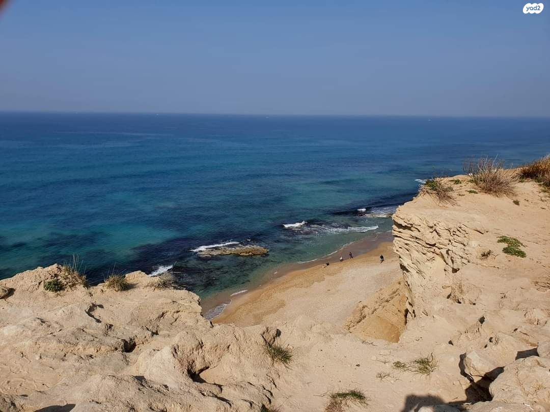 מגרשים