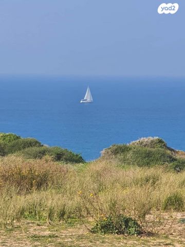 מגרשים, ארסוף