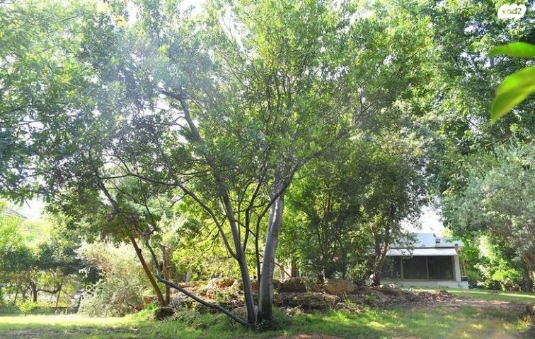 בית פרטי/ קוטג', סביון