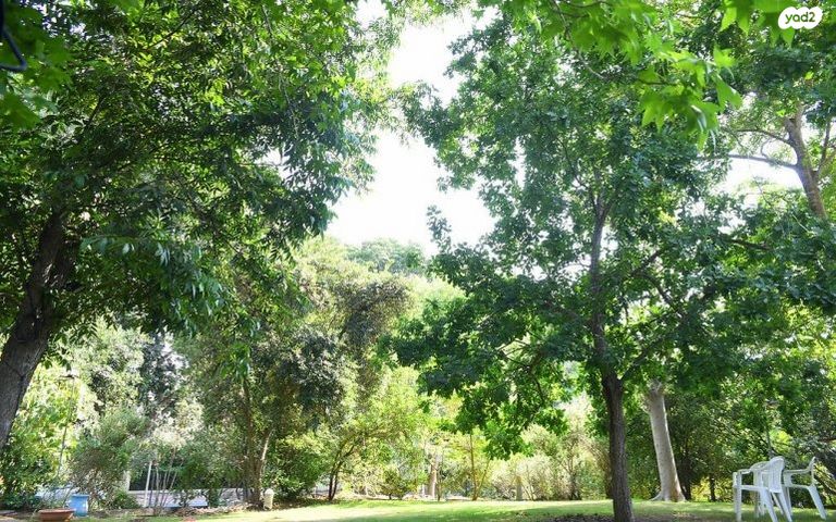 בית פרטי/ קוטג', סביון