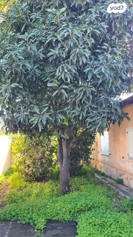 בית פרטי/ קוטג', הוד השרון