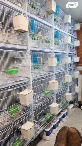 אביזרים | כלוב