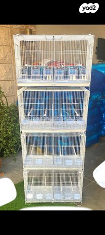 אביזרים | כלוב