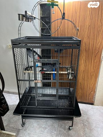 אביזרים | כלוב האכלת יד