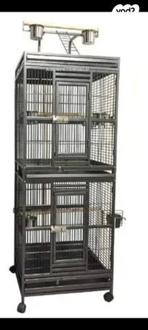 תמונת מודעה - חיות מחמד