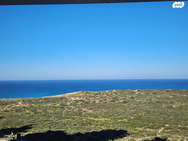 דירה, נתניה