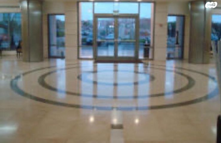 דירה, הרצליה