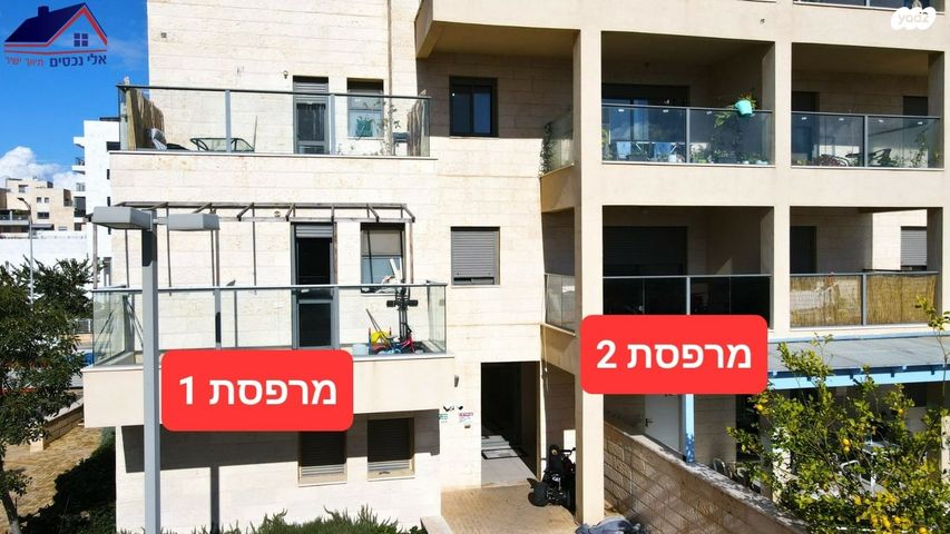 זית 4