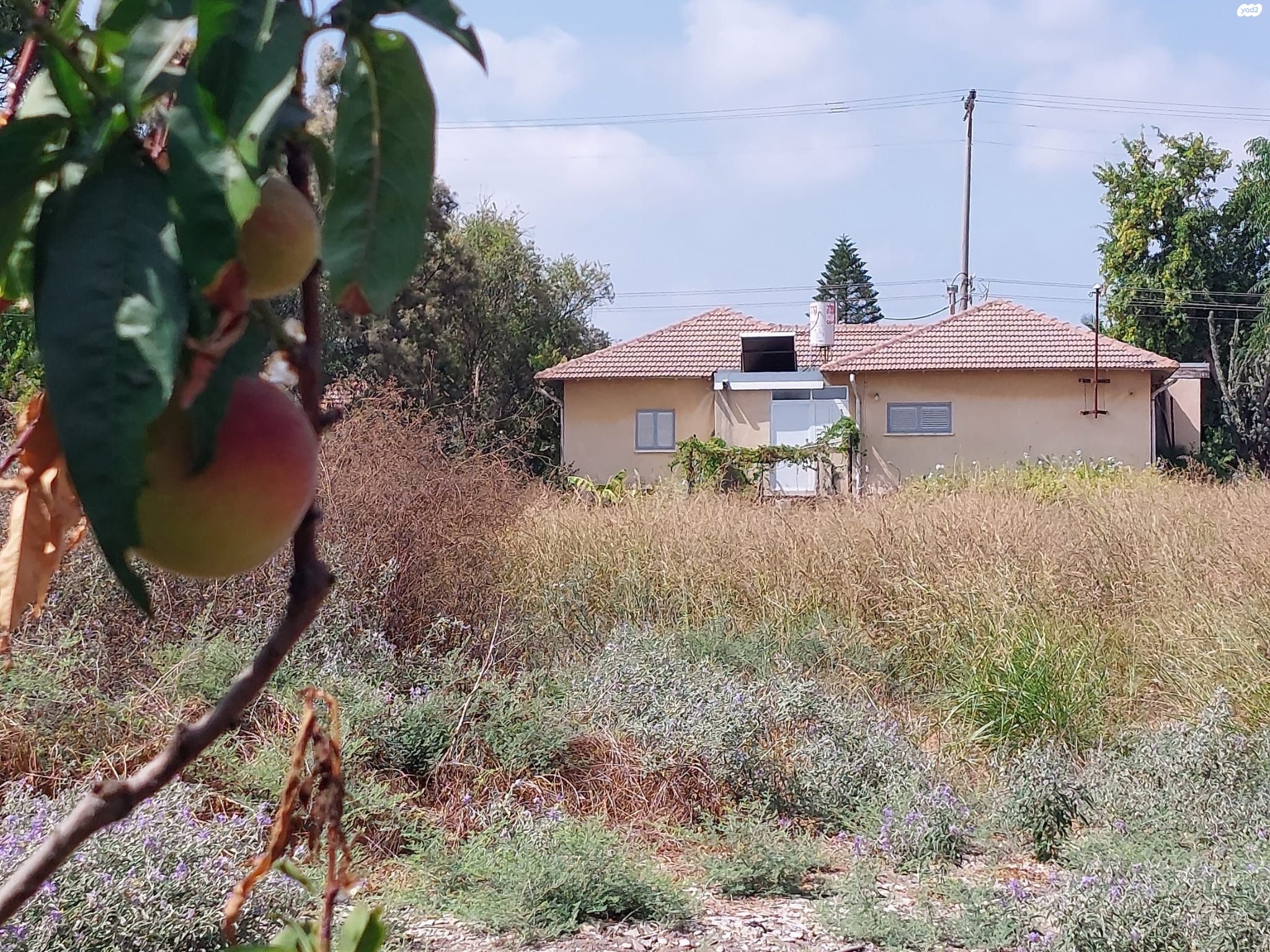 משק חקלאי/ נחלה