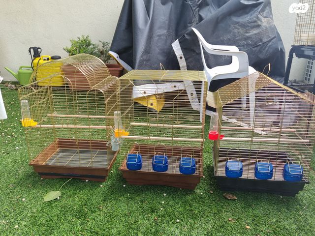 תמונת מודעה - חיות מחמד