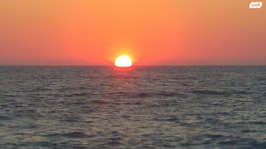 דירה, פנקס, הצפון החדש - כיכר המדינה, תל אביב יפו