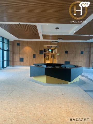 משרדים, שביט, נס ציונה