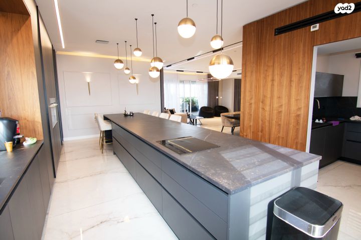 גג/ פנטהאוז, רמת אפרים, נתניה