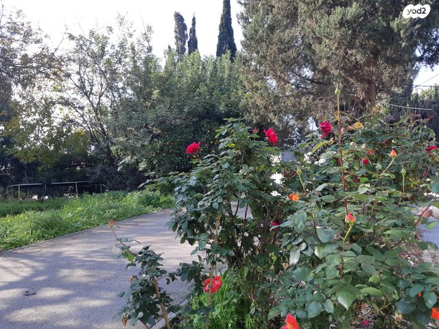 בית פרטי/ קוטג', הפועל המזרחי, כפר חסידים ב', כפר חסידים ב'