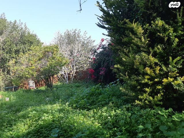 בית פרטי/ קוטג', הפועל המזרחי, כפר חסידים ב', כפר חסידים ב'