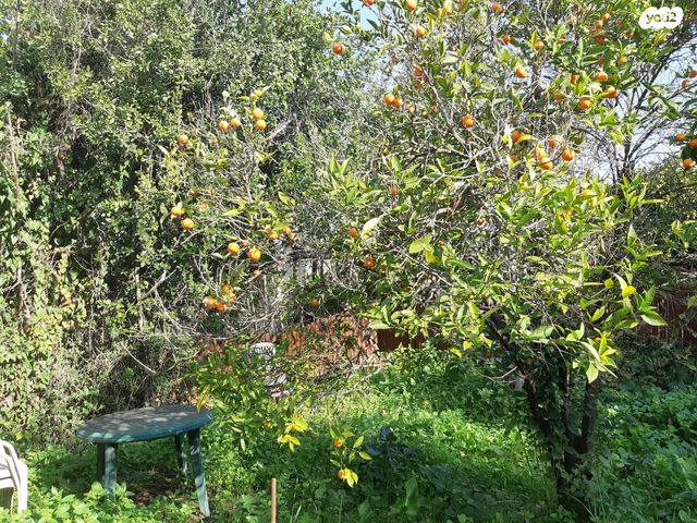 בית פרטי/ קוטג', הפועל המזרחי, כפר חסידים ב', כפר חסידים ב'