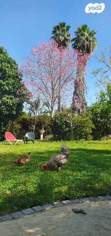 בית פרטי/ קוטג'