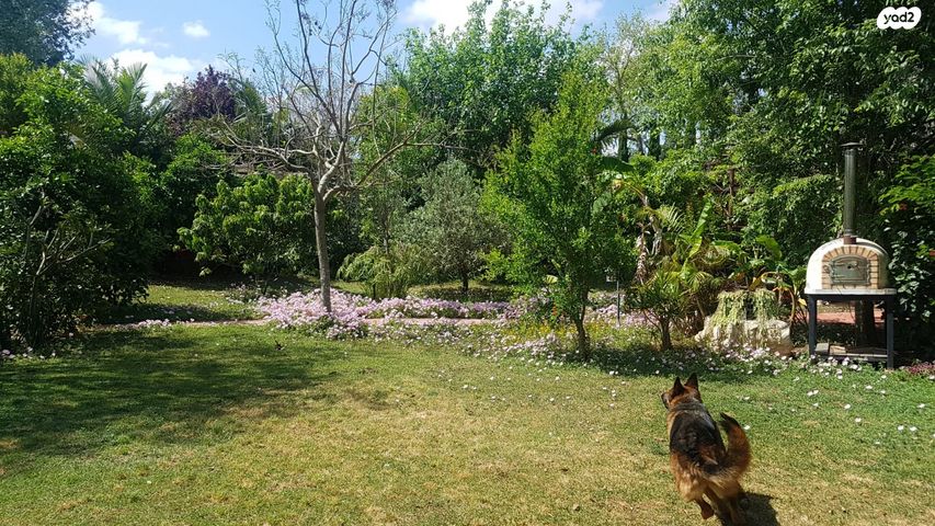 בית פרטי/ קוטג', כפר הס