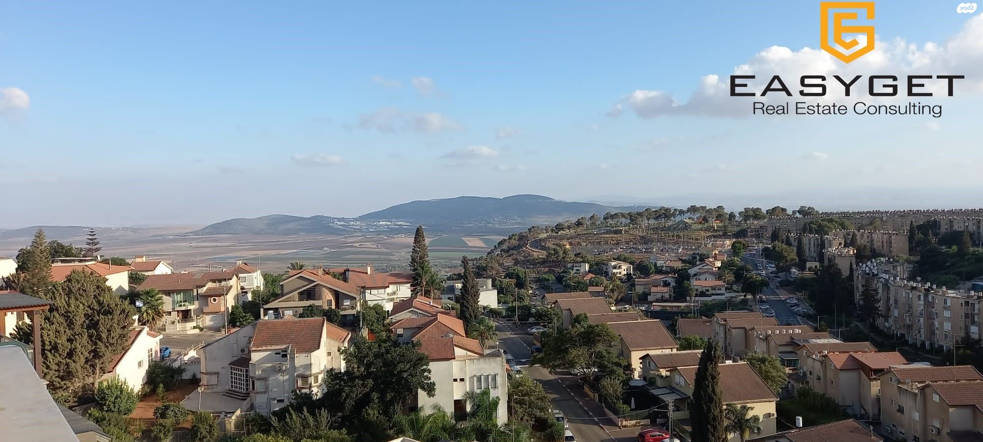 הלולב 