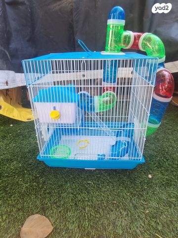 תמונת מודעה - חיות מחמד