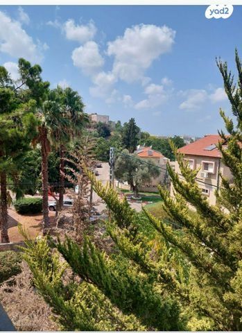גבעת נשר