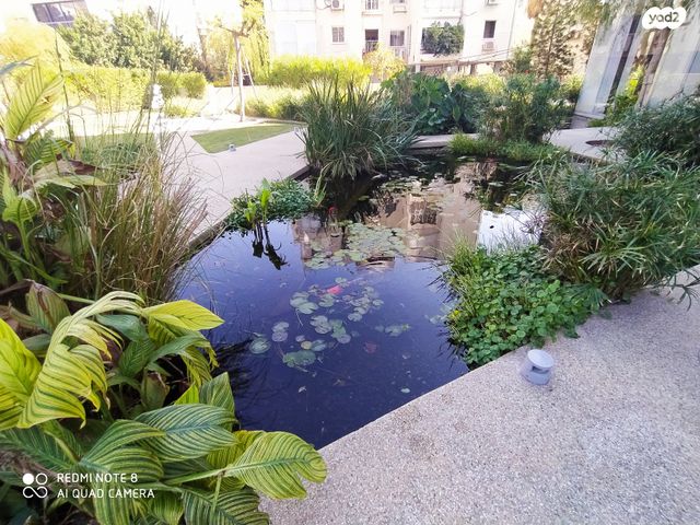 דירה, רמז, הצפון החדש - כיכר המדינה, תל אביב יפו