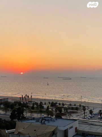 מקס נורדאו 11