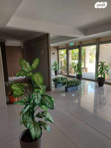 דירה, דוד זהבי, הזמר העברי, כפר סבא