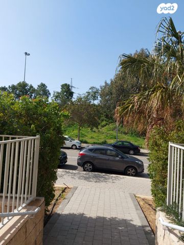 דירה, דוד זהבי, הזמר העברי, כפר סבא