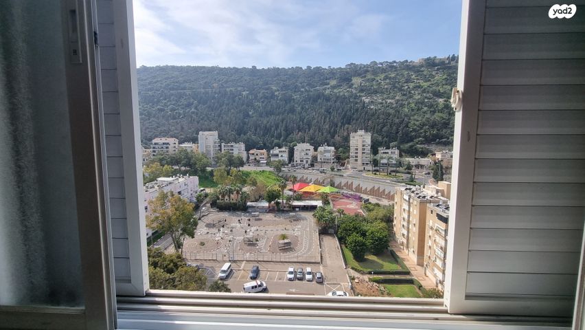 דירה, יואב, קרית אליעזר, חיפה