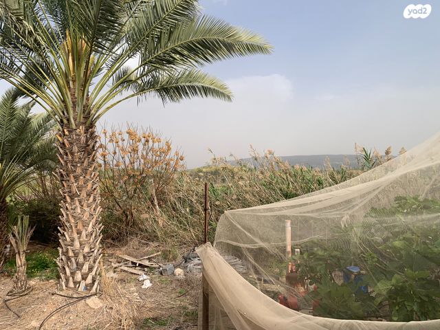 משק חקלאי/ נחלה, מנחמיה